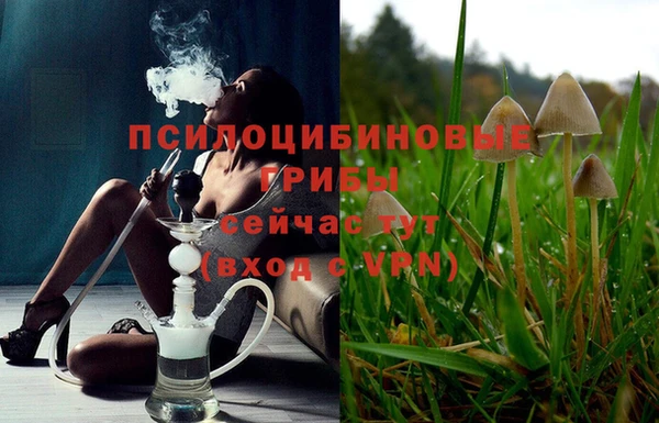 дживик Наволоки