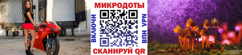 цены   Сычёвка  Галлюциногенные грибы Cubensis 
